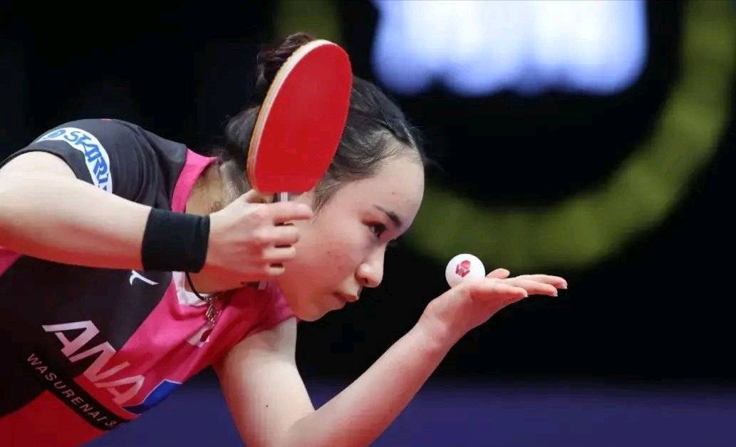 的双重支撑 的双重支撑