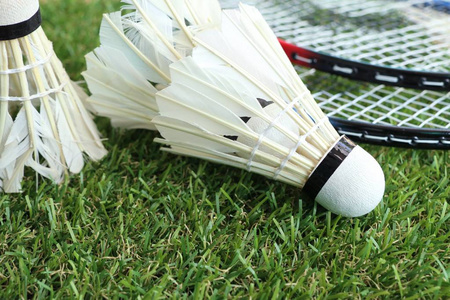 季的球迷与 季的球迷与